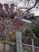 聖林寺(奈良県)