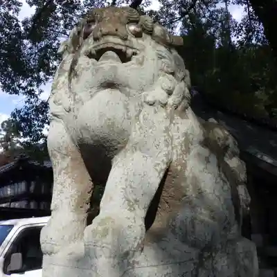 岩屋神社の狛犬