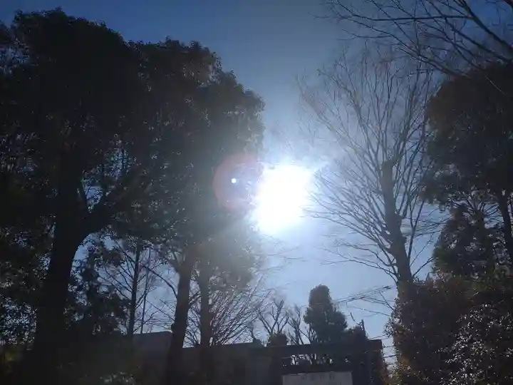 阿佐ヶ谷神明宮(東京都)