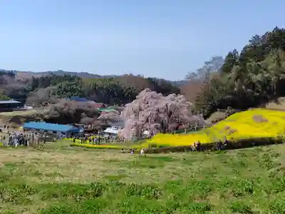 瀧桜神明宮(福島県)