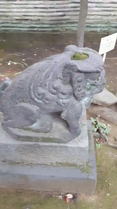 赤坂氷川神社の狛犬