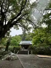 安房神社(千葉県)