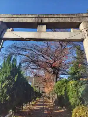 鶴ヶ丸八幡神社(埼玉県)