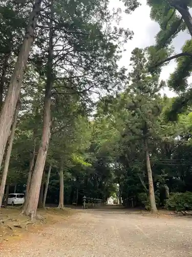 東大野八幡神社の建物その他