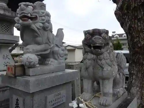 八幡神社の狛犬