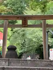 東郷神社の鳥居