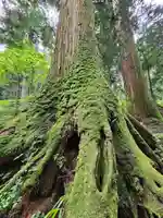 最乗寺(道了尊)(神奈川県)