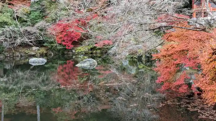 醍醐寺(京都府)