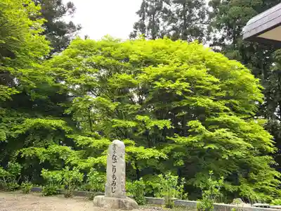 雲辺寺(徳島県)