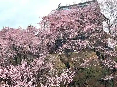 眞田神社(長野県)