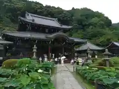 三室戸寺の本殿