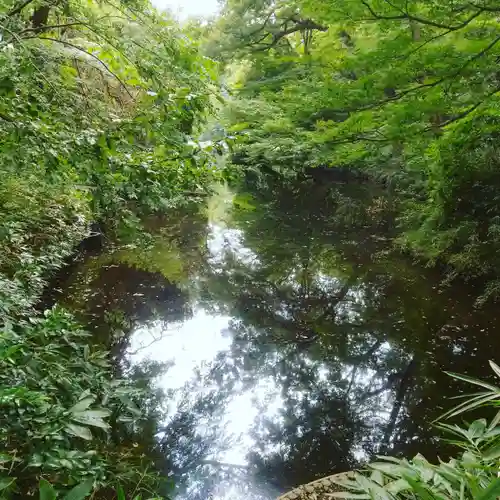 明治神宮の庭園