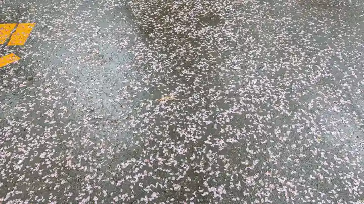 上川神社(北海道)