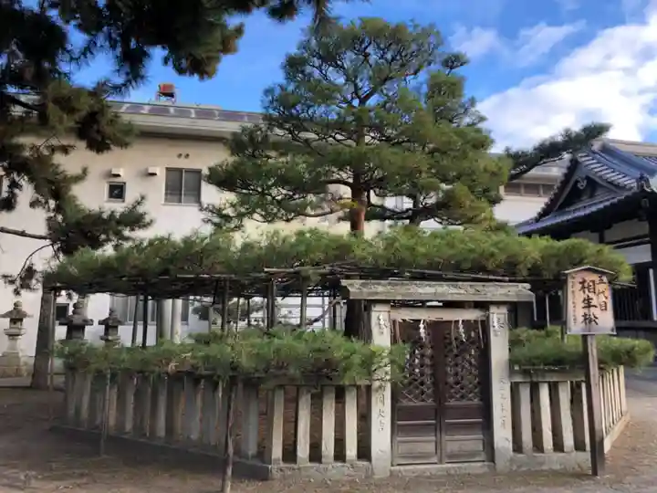 高砂神社の庭園