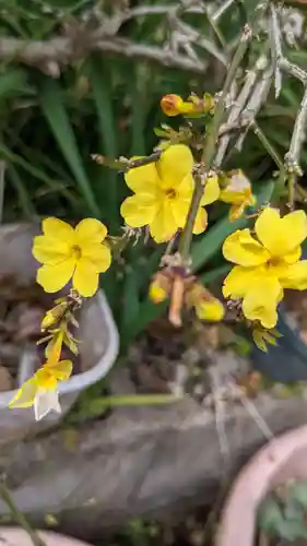玉野御嶽神社の自然