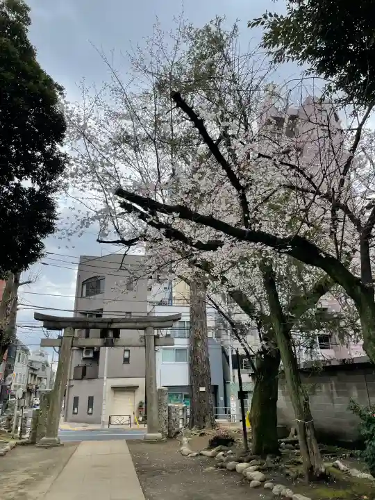 駒込富士神社の{uncategorized: "未分類", other: "その他", undefined: "問題あり", building: "その他建物", grave: "お墓", sacred_gate: "鳥居", guardian: "狛犬", statue: "像", buddha: "仏像", history: "歴史", nature: "自然", garden: "庭園", animal: "動物", pagoda: "塔", temizu: "手水舎", mountain_gate: "山門・神門", sanctuary: "本殿・本堂", subordinate: "末社・摂社", art: "芸術", scenery: "景色", jizo: "地蔵", ema: "絵馬", goshuin: "御朱印", omikuji: "おみくじ", items: "授与品その他", amulet: "お守り", goshuincho: "御朱印帳", eats: "食事", festival: "お祭り", votive_dance: "神楽", shichigosan: "七五三参", wedding: "結婚式", experience: "体験その他", initially: "初詣", around: "周辺", anti_infection: "感染症対策"}
