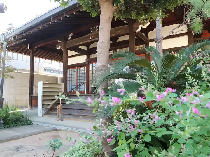 専念寺の本殿・本堂