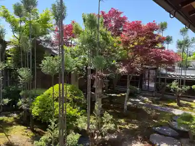 大雲寺(京都府)