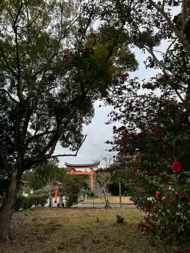 宇佐神宮の{uncategorized: "未分類", other: "その他", undefined: "問題あり", building: "その他建物", grave: "お墓", sacred_gate: "鳥居", guardian: "狛犬", statue: "像", buddha: "仏像", history: "歴史", nature: "自然", garden: "庭園", animal: "動物", pagoda: "塔", temizu: "手水舎", mountain_gate: "山門・神門", sanctuary: "本殿・本堂", subordinate: "末社・摂社", art: "芸術", scenery: "景色", jizo: "地蔵", ema: "絵馬", goshuin: "御朱印", omikuji: "おみくじ", items: "授与品その他", amulet: "お守り", goshuincho: "御朱印帳", eats: "食事", festival: "お祭り", votive_dance: "神楽", shichigosan: "七五三参", wedding: "結婚式", experience: "体験その他", initially: "初詣", around: "周辺", anti_infection: "感染症対策"}