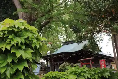 熊野福藏神社の本殿・本堂