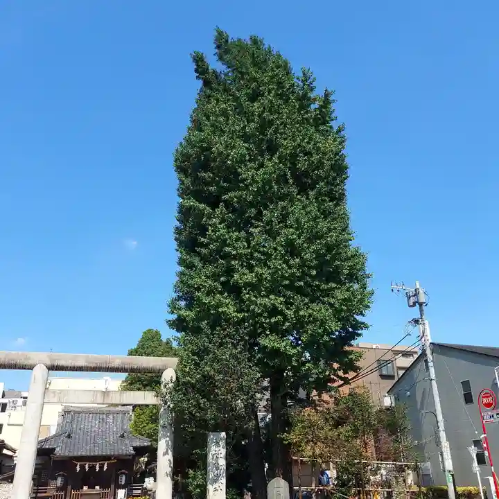 池袋御嶽神社のその他建物