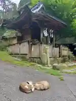 賀野神社の動物