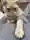 ちささんのプロフィール画像