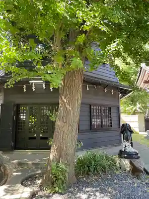 金山神社(若宮八幡宮境内社)(神奈川県)