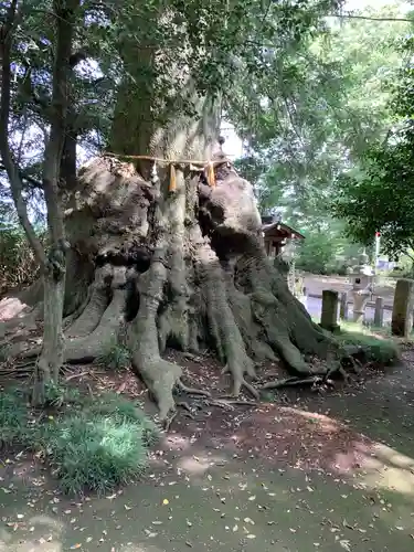 沓掛香取神社のその他建物
