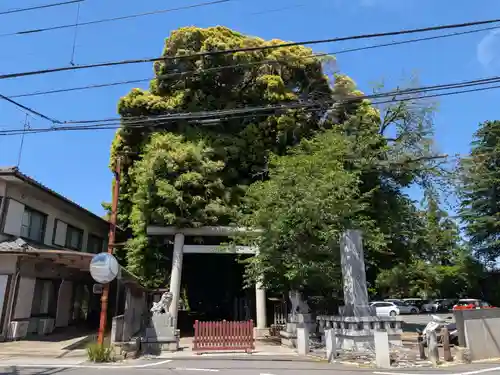 岩槻久伊豆神社(埼玉県)