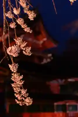 富士山本宮浅間大社(静岡県)