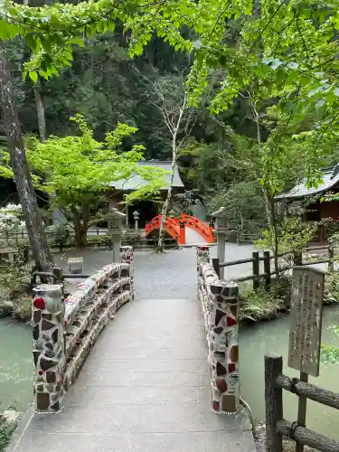 小國神社の{uncategorized: "未分類", other: "その他", undefined: "問題あり", building: "その他建物", grave: "お墓", sacred_gate: "鳥居", guardian: "狛犬", statue: "像", buddha: "仏像", history: "歴史", nature: "自然", garden: "庭園", animal: "動物", pagoda: "塔", temizu: "手水舎", mountain_gate: "山門・神門", sanctuary: "本殿・本堂", subordinate: "末社・摂社", art: "芸術", scenery: "景色", jizo: "地蔵", ema: "絵馬", goshuin: "御朱印", omikuji: "おみくじ", items: "授与品その他", amulet: "お守り", goshuincho: "御朱印帳", eats: "食事", festival: "お祭り", votive_dance: "神楽", shichigosan: "七五三参", wedding: "結婚式", experience: "体験その他", initially: "初詣", around: "周辺", anti_infection: "感染症対策"}