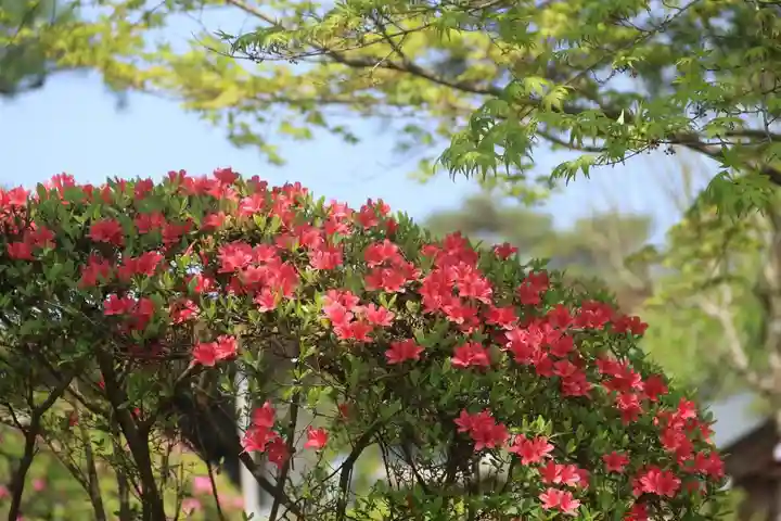 開成山大神宮の庭園