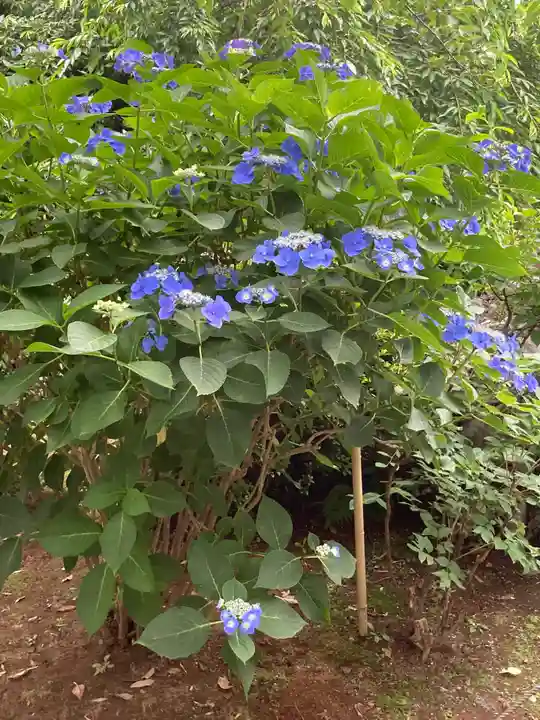 建長寺(神奈川県)