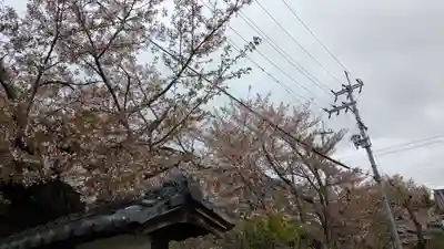 圓藏院(円蔵院)(京都府)