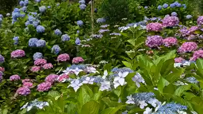 善峯寺(京都府)