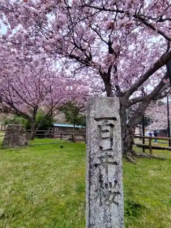 春日神社の御朱印 2026年04月