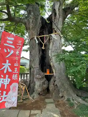 三ツ木神社(埼玉県)