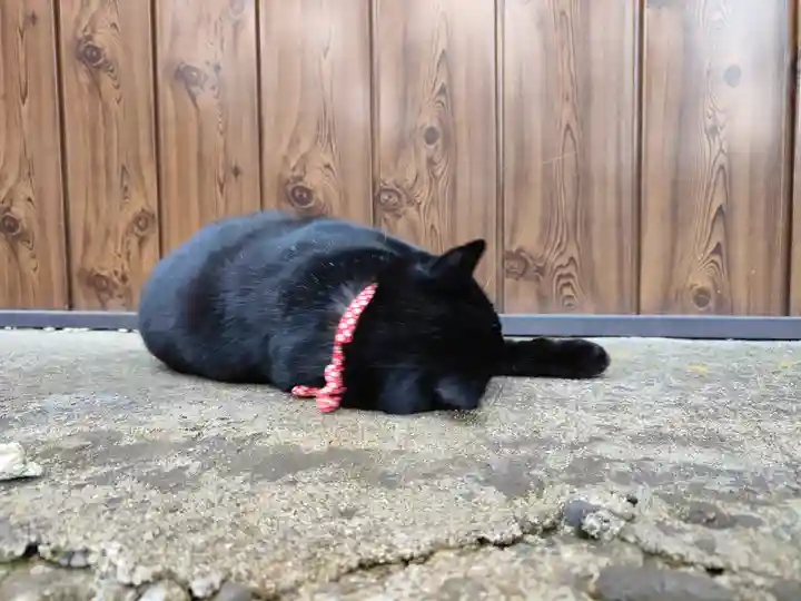 高司神社〜むすびの神の鎮まる社〜(福島県)