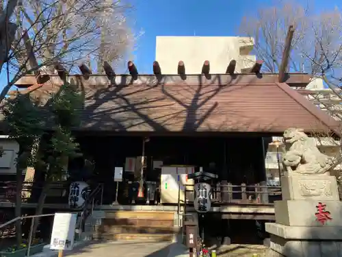 高円寺氷川神社の本殿・本堂