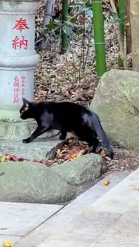 道野辺八幡宮の動物