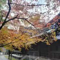 向日神社の建物その他