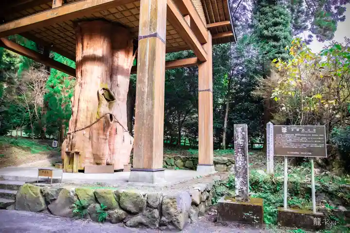 国造神社(熊本県)