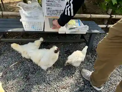 高屋敷稲荷神社(福島県)