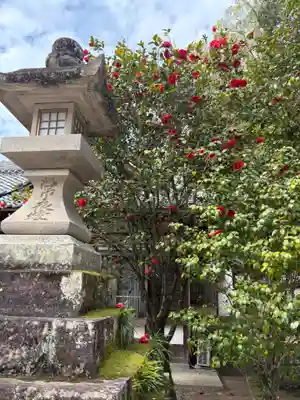 多田神社(兵庫県)