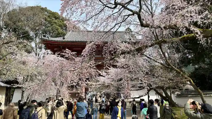 醍醐寺(京都府)