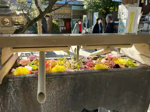 鳩森八幡神社(東京都)