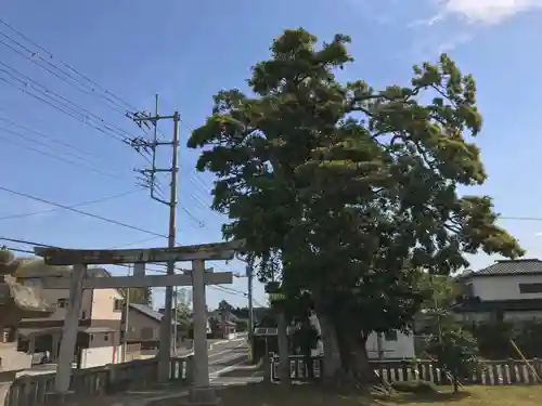 八坂神社の鳥居