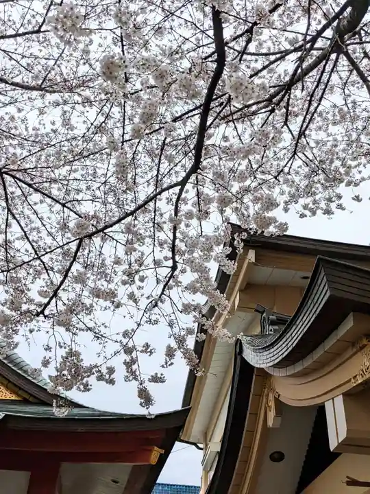 浅草富士浅間神社の自然