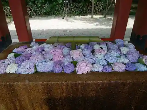 鶴岡八幡宮(神奈川県)